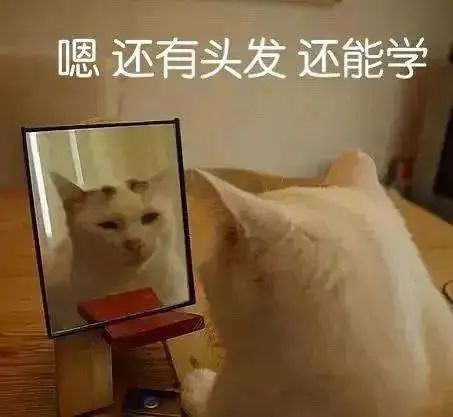 8737db75-c175-43fc-9240-679adfbcc8ec.jpeg