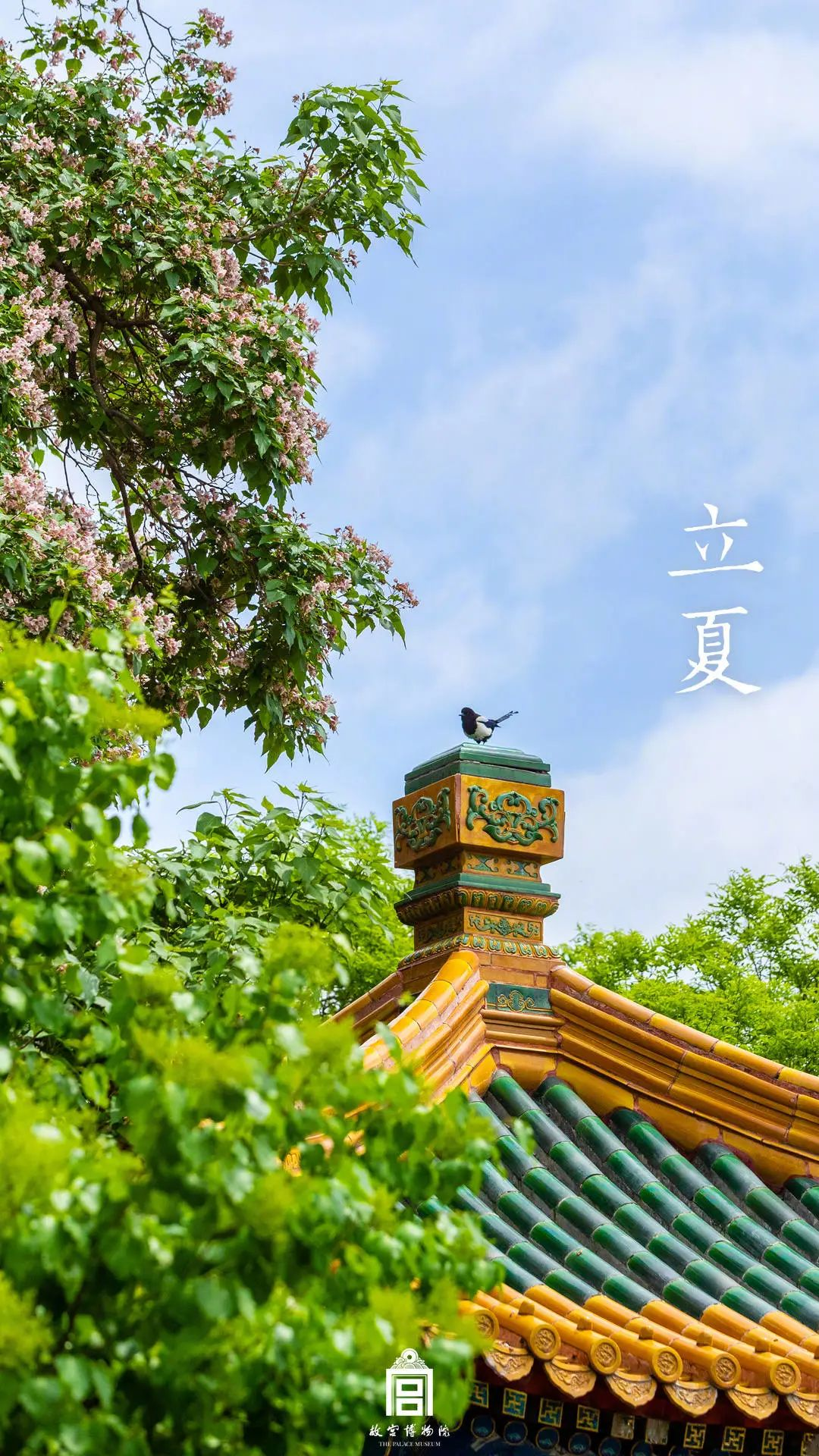 74f7afee-92ea-4ebc-a959-e87a79c00baf.png