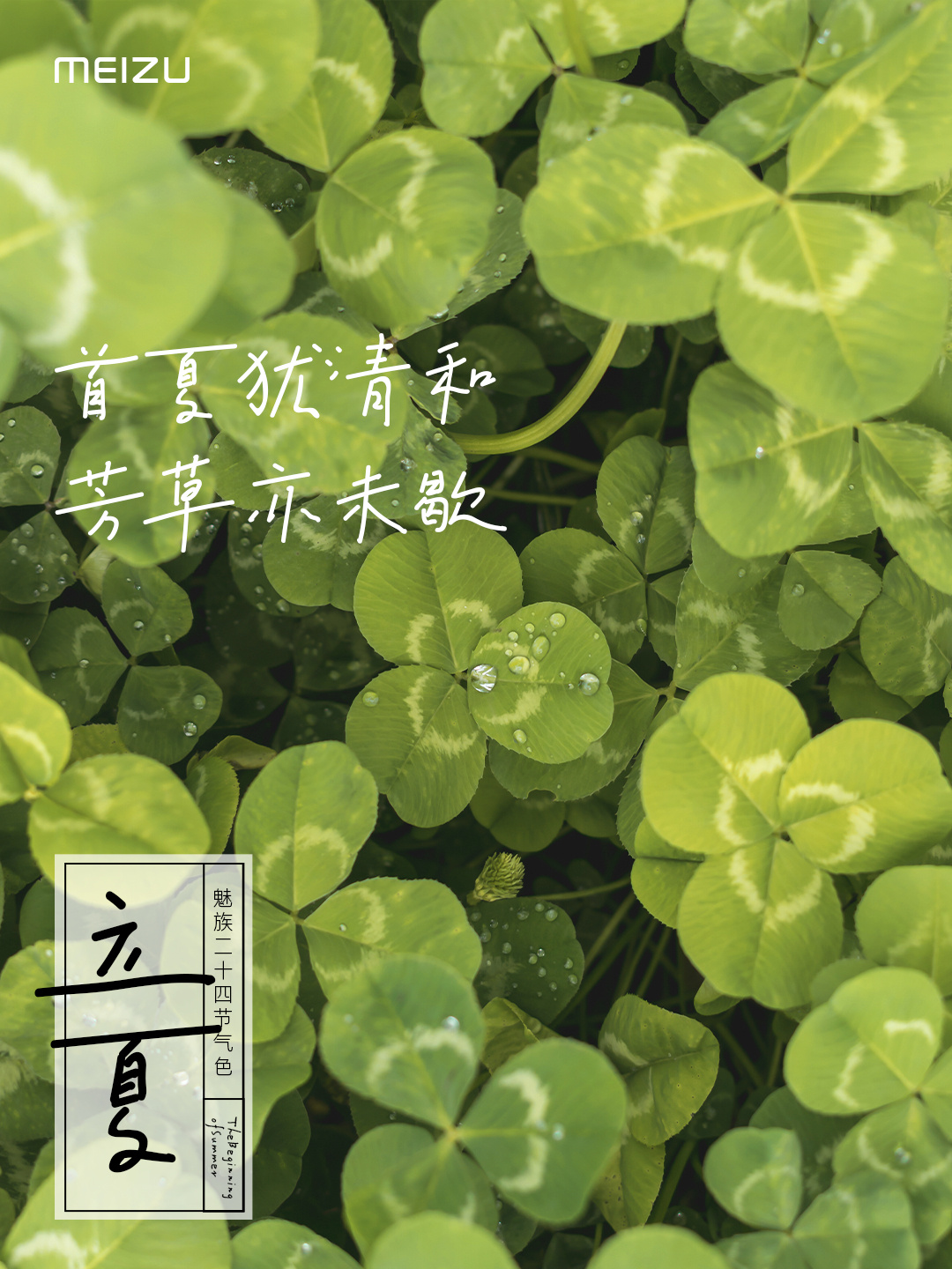 fe8e43e7-d5d9-4fa8-98a8-5599eb5af7d6.png