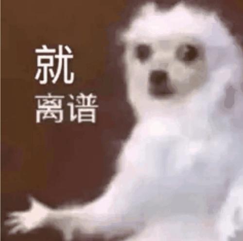 c6a4c60e-5369-475e-b5f7-b6e613a962c8.jpeg