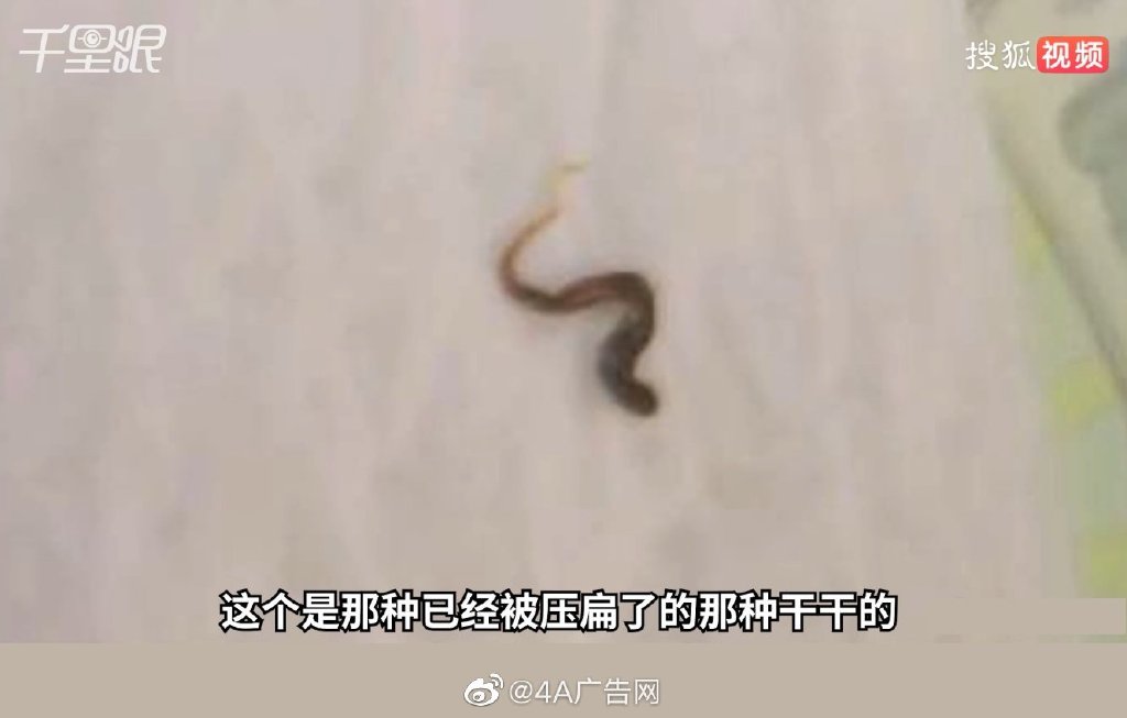0791e436-21f1-4ed6-990e-4ff3a15f2c1d.jpeg