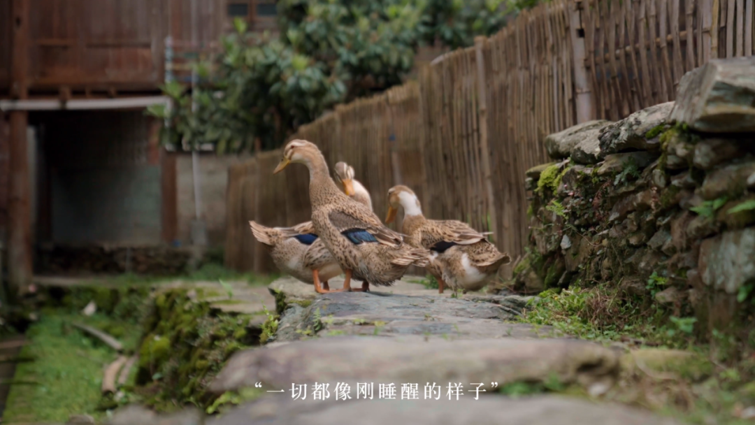 180d2eb8-a6b0-4f78-b310-2f5925c96885.png