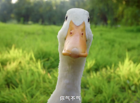 2af2b32f-188d-482e-bd5f-623843f4aa85.png