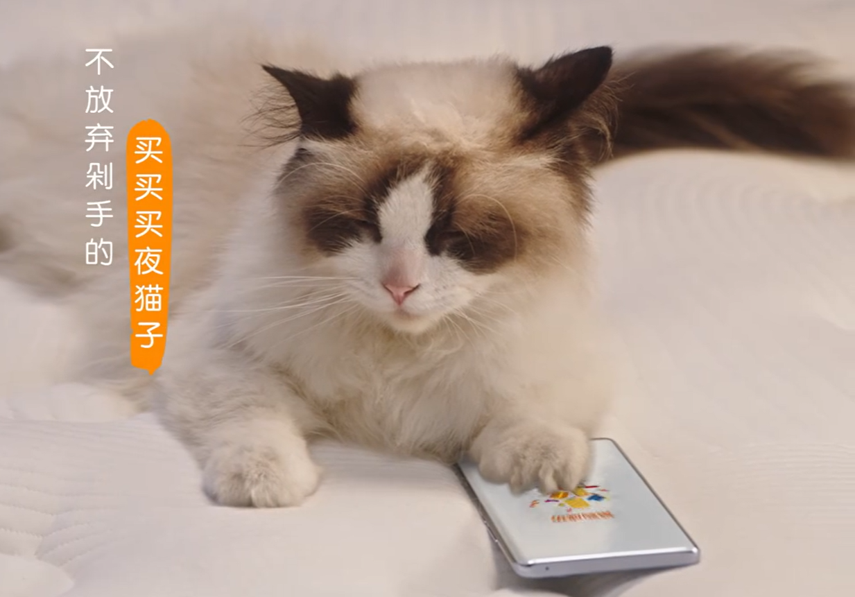 2d2d277d-8d69-4d85-881c-16b8a9234ab7.png