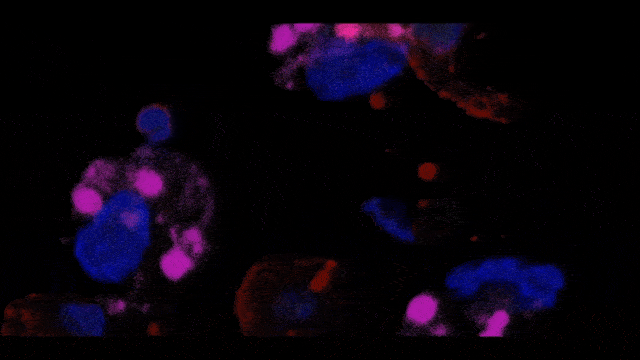 323148dd-e67b-4639-8552-82e29ac8d79a.gif