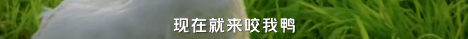 44696849-22d4-4abd-8263-11d00682dc12.png