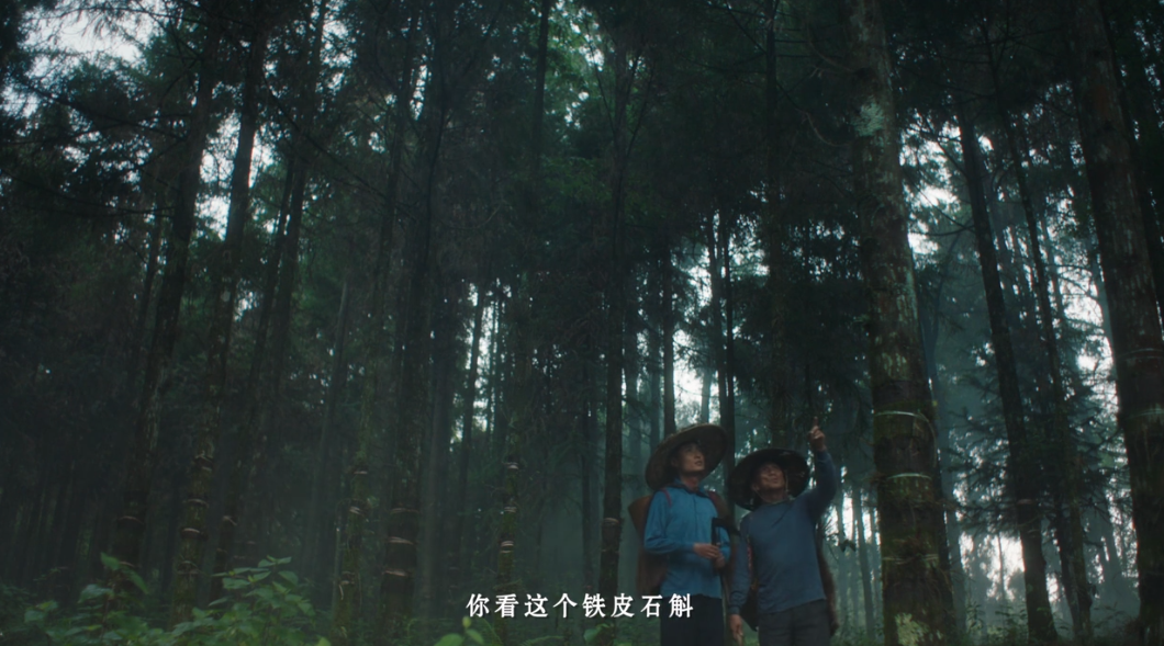 55d96550-6db9-460c-a25c-75638f670444.png