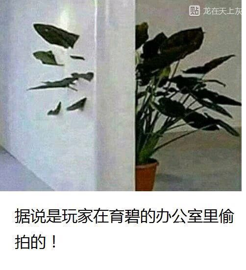 5b342aaa-31bd-43d0-a347-7666ddc03051.png