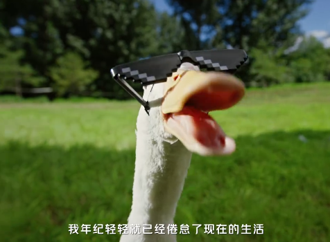 60dbf322-5cd4-442f-a080-b999edc82c48.png