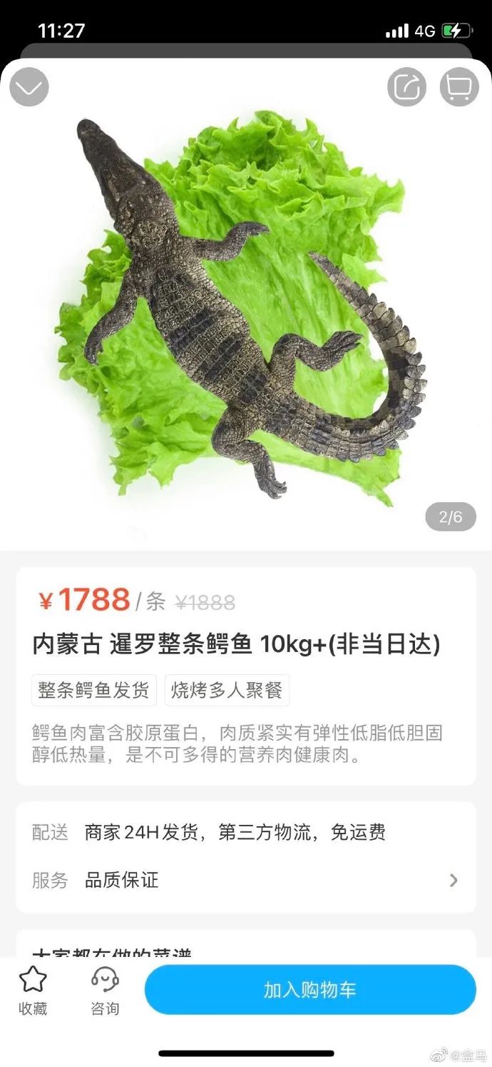 61b1883c-2f01-442b-bf91-6e4c7cb19b88.jpeg