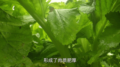 61f58b1d-5ec1-4136-bb8e-ae370a194869.gif