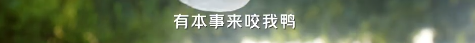 7ce7b0c1-9d22-41c5-bb72-61afe35aa8d6.png