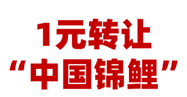7dae0aaa-ee52-4f0a-9f74-b28361a71fa3.png