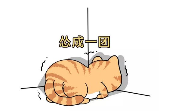 a945047d-955a-459f-a67e-292d480255db.jpeg