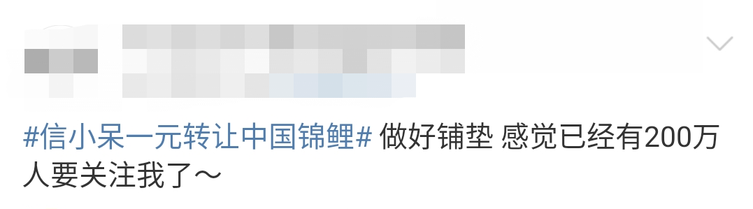 ac7c4903-ec2e-478f-816c-8cdc19049550.png