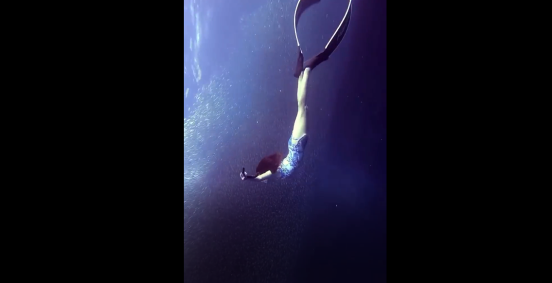 b469d85e-cbad-4206-b493-e99382b4f89b.png