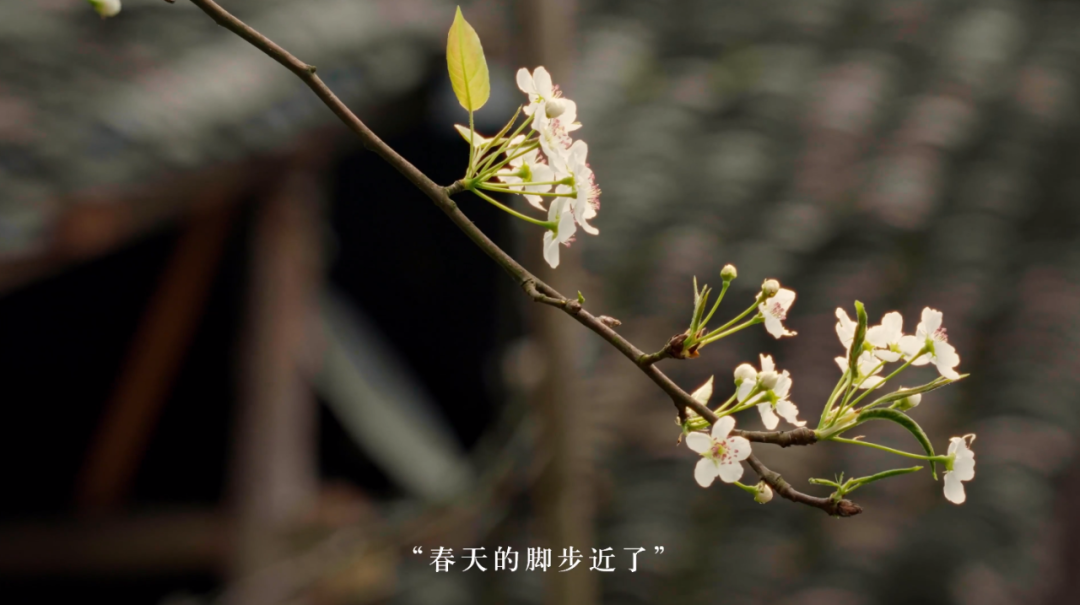 b8735042-9b2a-406f-a13d-324f4f0a3518.png