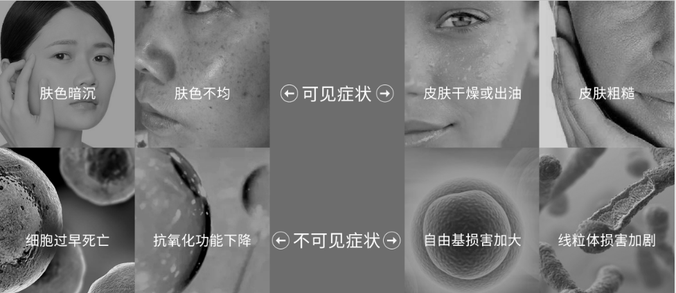 bcc6558d-3bba-4150-9ed4-bf1b68813afb.png