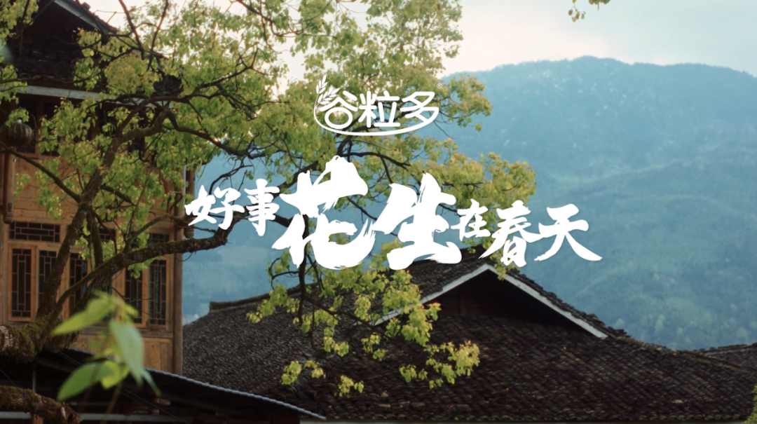 c337b64f-c18d-4738-9c7f-bd887d014c93.png