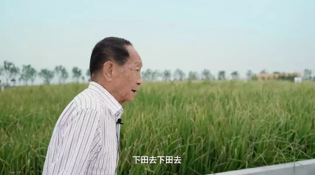 d05e619d-a5ba-45d7-8f9e-a517f664bbcc.jpeg