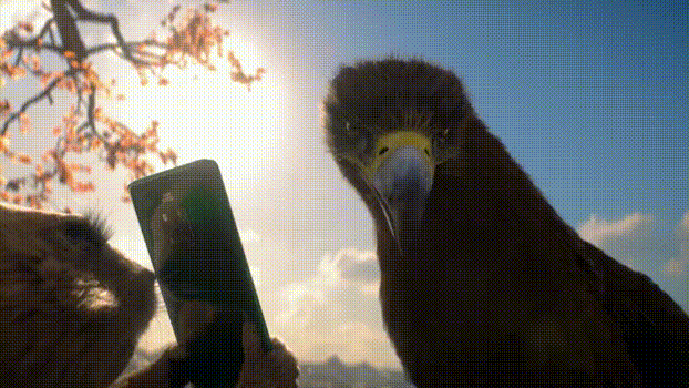 d0612918-d911-4e55-b053-bfd80b0b48f0.gif