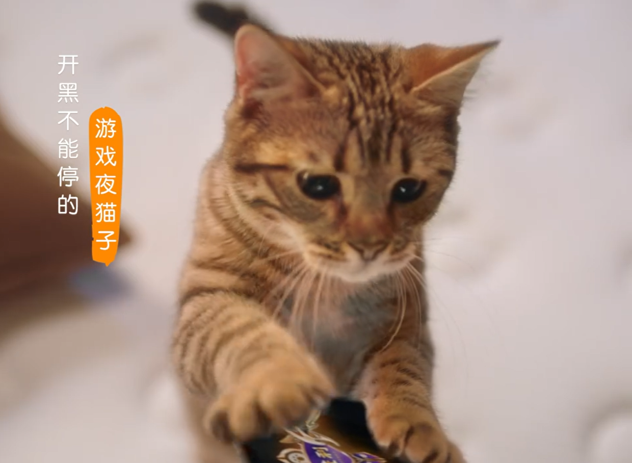 d9941e7a-de7c-40c4-ac7d-877dbfbc6d8c.png