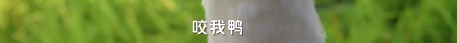 e649a80a-87f7-4504-b991-33ba29f5b472.png