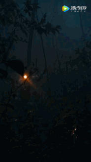 fa06cd59-87c9-4828-8d25-7e7e55c7b5bd.gif