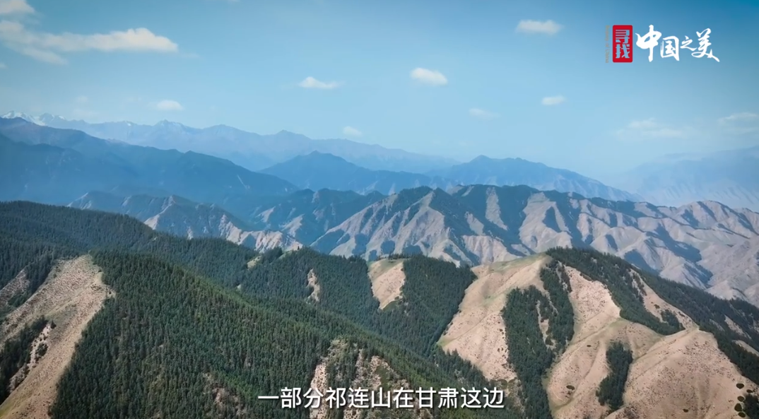 061a46d8-3791-4eac-9a20-2f523c37349c.png
