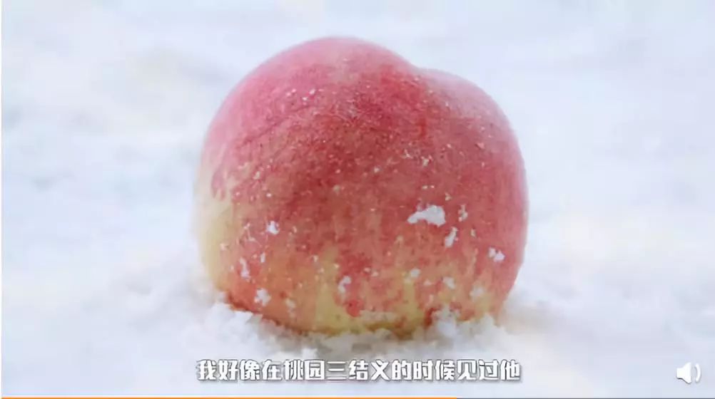 10f93c3a-423f-4991-b1b6-4b847de200ed.jpeg
