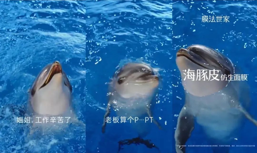 1ed98e2f-3b39-426a-be18-4a1bfc0c453e.jpeg