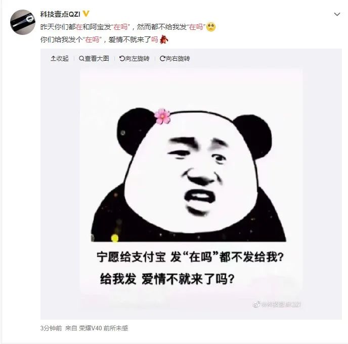 21cd6631-fb4e-4d88-95cb-6e30eeb7f292.jpeg