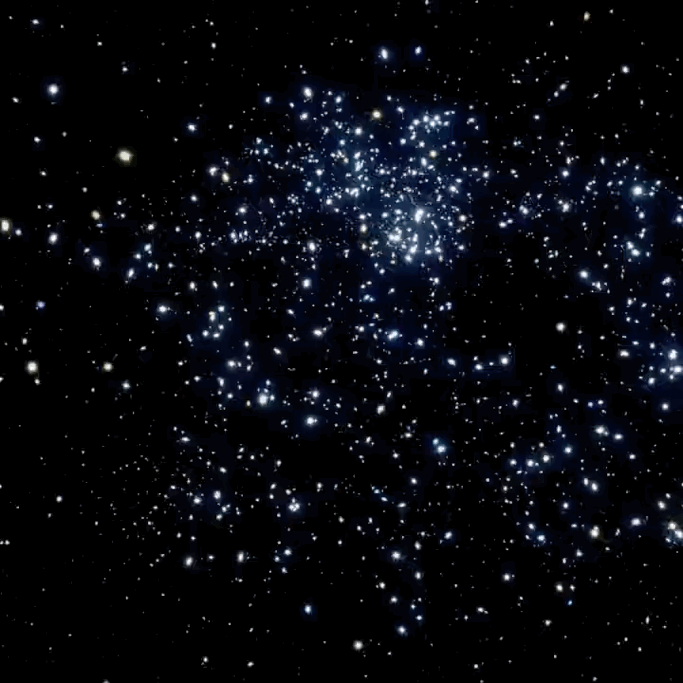 2e82fbdd-0716-417d-ae9d-74d7bc582408.gif