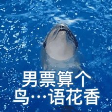 39f7f93b-add7-496f-9e39-bea7f9a82476.gif