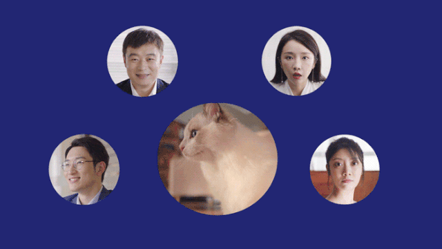 48930145-4481-4ae3-a4ca-7f9e947923f6.gif