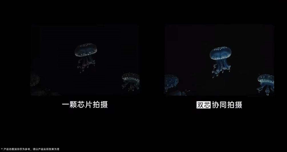 48dd1f0e-6f06-443f-a017-2e6cdd6904c1.png