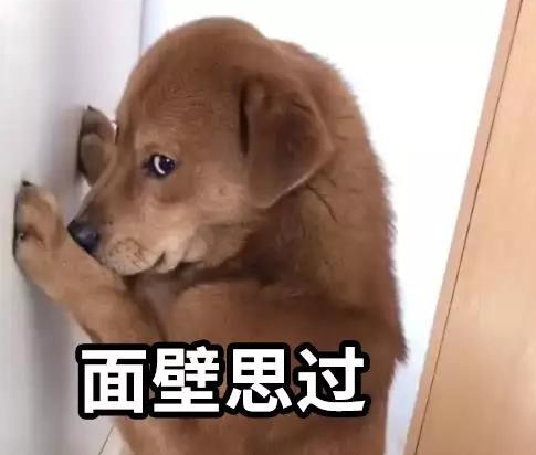 4d4704f8-5281-43c4-a4e2-f180eadf1c33.png