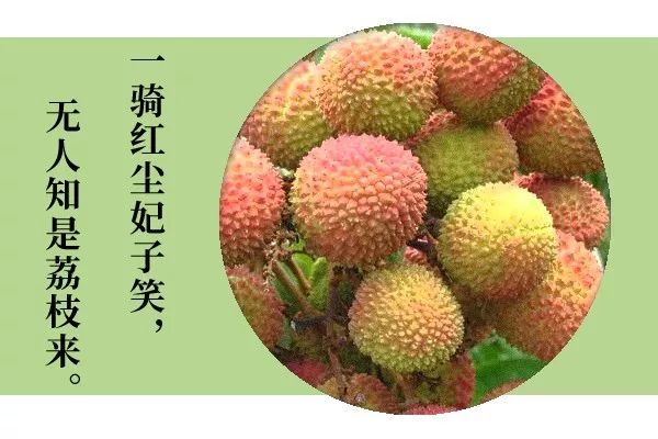 74eff4d9-a4dd-4c22-8798-6dccbf1e5cc8.jpeg