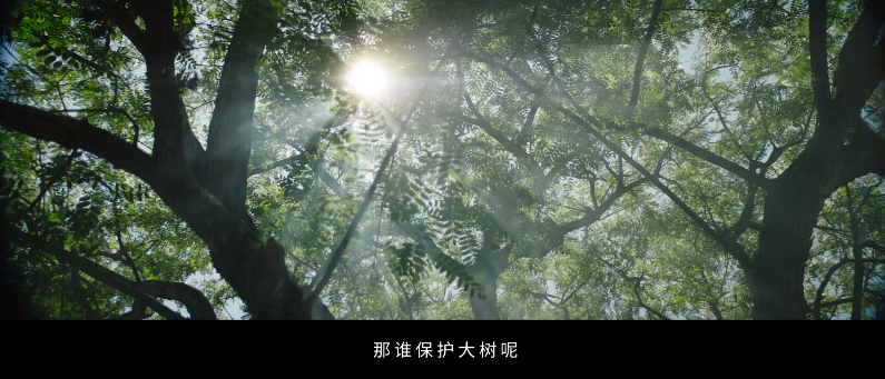 7d208057-52ae-4a94-a447-7db873fd4905.png