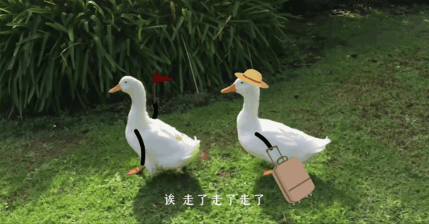 7e511556-6599-4ecf-9459-fae1f634f5ff.gif
