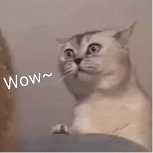 87ee6977-61e1-4d22-a1c7-bdf13a8ee56b.gif