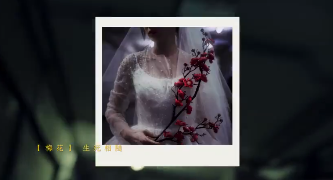 98974ecf-6eda-48b7-9d92-c6e297d943bc.png