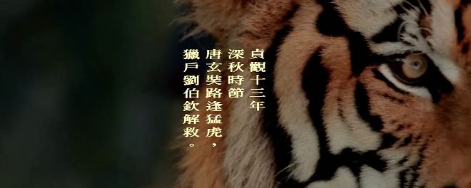 ac2f5074-b5c5-4b2b-8fe5-4ed42f19d100.jpeg