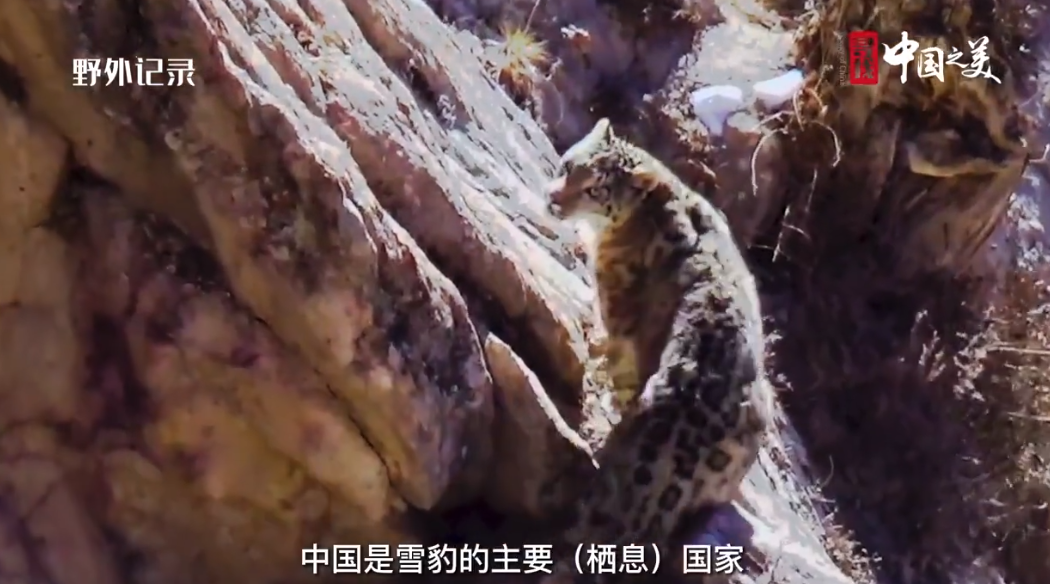 b29708d6-2ab8-4e59-93af-41e790ba2971.png