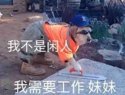 bbe2fcae-f7f4-479b-8566-84cc5b10e50d.jpeg