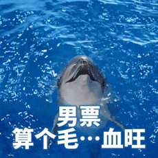 c1fa8dda-4596-4d40-bf06-4923d1a0a36d.gif