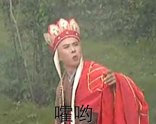 d1f959cf-591e-4528-ae2f-885d6189e9e8.jpeg