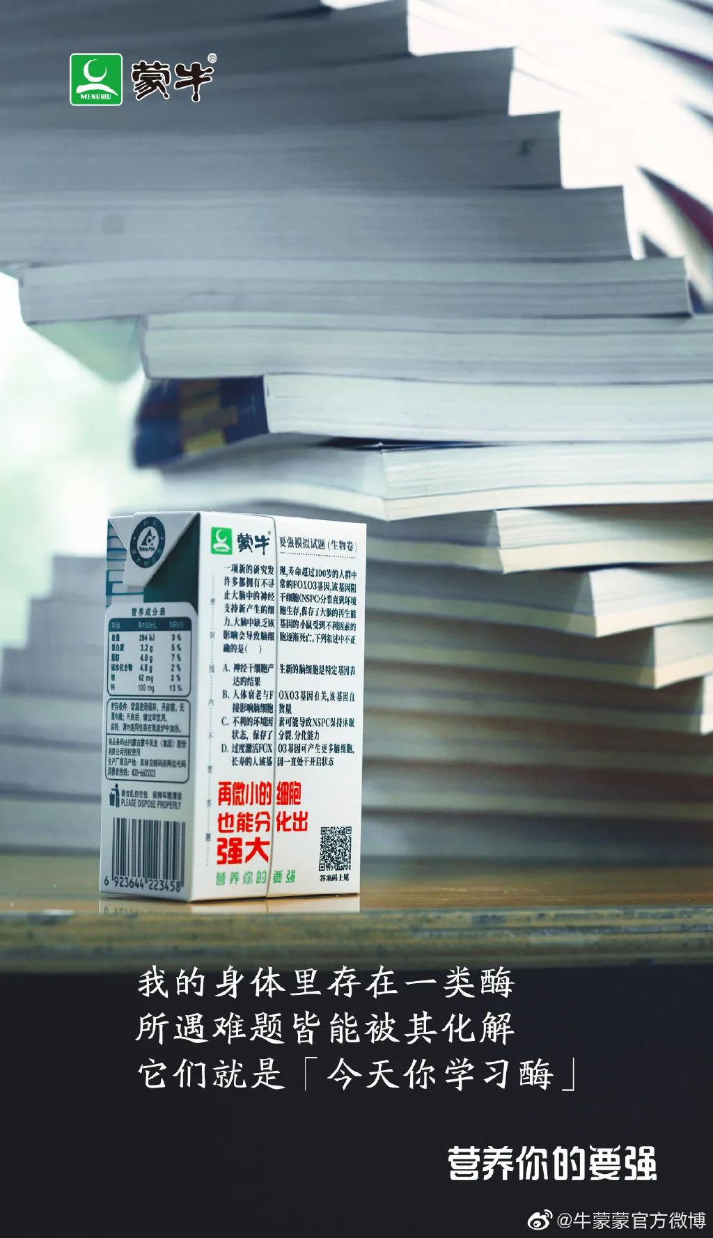 d719b27a-9f47-4b77-a311-793a0bb8584f.jpeg