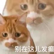 ddce92d3-14c2-4ef2-8448-60930b5bf52b.jpeg