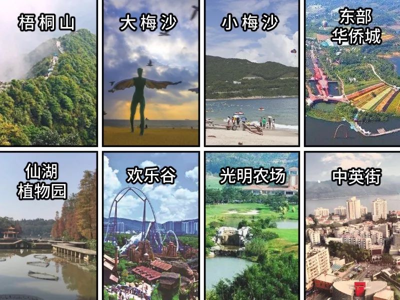 e24376ca-5b6d-42a6-9a23-873d934cb99a.jpeg